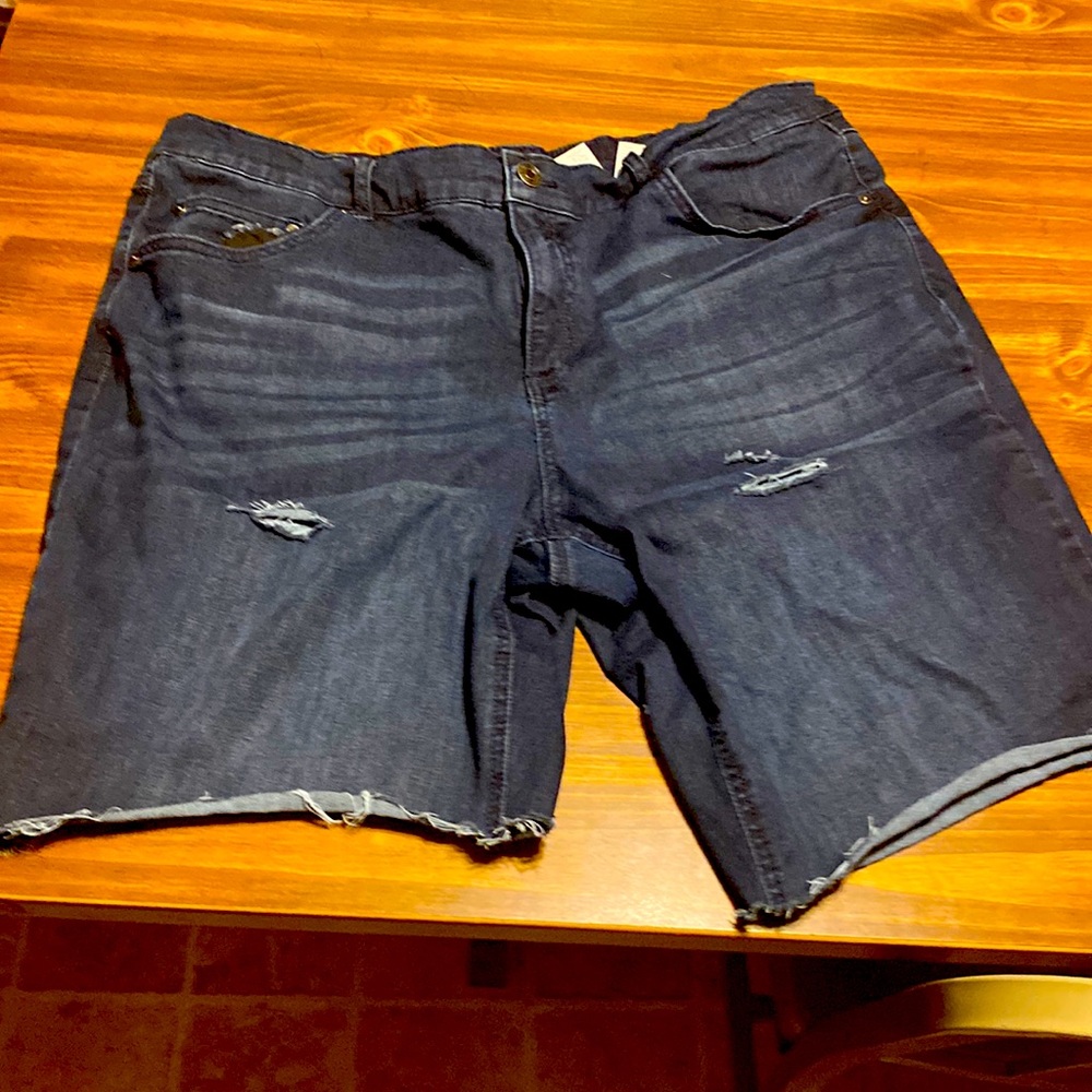 Terra and sky knee length shorts size 20